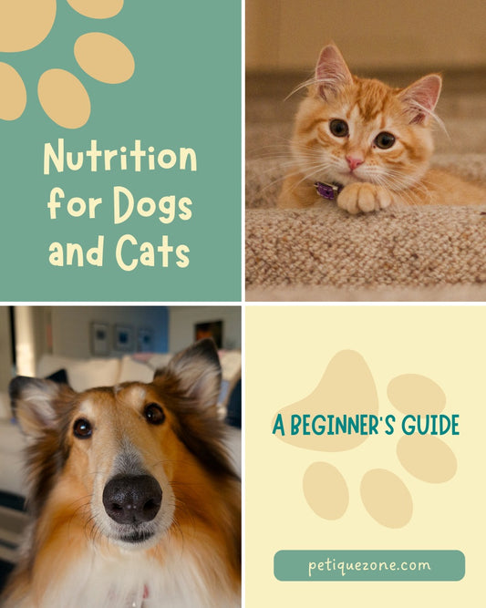Nutrition for Dogs and Cats